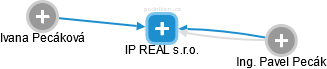 IP REAL s.r.o. - náhled vizuálního zobrazení vztahů obchodního rejstříku