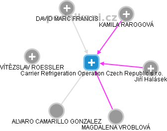 Carrier Refrigeration Operation Czech Republic s.r.o. - náhled vizuálního zobrazení vztahů obchodního rejstříku