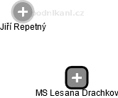 MS Lesana Drachkov - náhled vizuálního zobrazení vztahů obchodního rejstříku