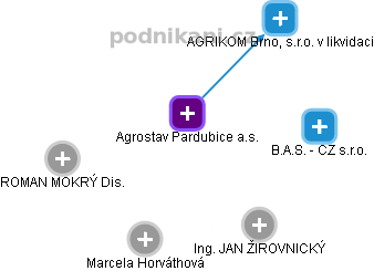 Agrostav Pardubice a.s. - náhled vizuálního zobrazení vztahů obchodního rejstříku