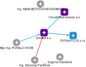 EVONA a.s. - náhled vizuálního zobrazení vztahů obchodního rejstříku