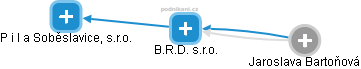 B.R.D. s.r.o. - náhled vizuálního zobrazení vztahů obchodního rejstříku
