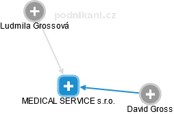 MEDICAL SERVICE s.r.o. - náhled vizuálního zobrazení vztahů obchodního rejstříku