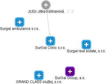 SurGal Clinic s.r.o. - náhled vizuálního zobrazení vztahů obchodního rejstříku