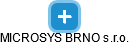 MICROSYS BRNO s.r.o. - náhled vizuálního zobrazení vztahů obchodního rejstříku