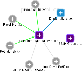 Hotel International Brno, a.s. - náhled vizuálního zobrazení vztahů obchodního rejstříku