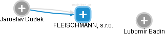 FLEISCHMANN, s.r.o. - náhled vizuálního zobrazení vztahů obchodního rejstříku