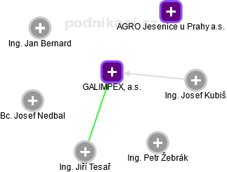 GALIMPEX, a.s. - náhled vizuálního zobrazení vztahů obchodního rejstříku