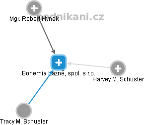 Bohemia Lázně, spol. s r.o. - náhled vizuálního zobrazení vztahů obchodního rejstříku