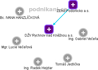 DŽV Rychnov nad Kněžnou a.s. - náhled vizuálního zobrazení vztahů obchodního rejstříku