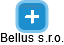 Bellus s.r.o. - náhled vizuálního zobrazení vztahů obchodního rejstříku