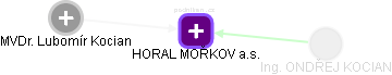 HORAL MOŘKOV a.s. - náhled vizuálního zobrazení vztahů obchodního rejstříku