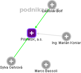 Pila MSK, a.s. - náhled vizuálního zobrazení vztahů obchodního rejstříku