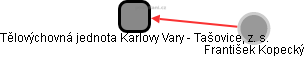 Tělovýchovná jednota Karlovy Vary - Tašovice, z. s. - náhled vizuálního zobrazení vztahů obchodního rejstříku