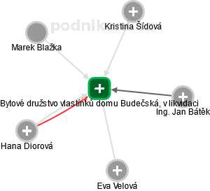 Bytové družstvo vlastínků domu Budečská, v likvidaci - náhled vizuálního zobrazení vztahů obchodního rejstříku
