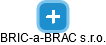 BRIC-a-BRAC s.r.o. - náhled vizuálního zobrazení vztahů obchodního rejstříku