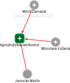 Agrodružstvo Jeníkovice - náhled vizuálního zobrazení vztahů obchodního rejstříku