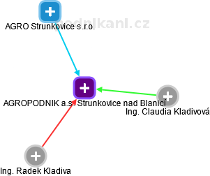 AGROPODNIK a.s. Strunkovice nad Blanicí - náhled vizuálního zobrazení vztahů obchodního rejstříku
