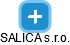 SALICA s.r.o. - náhled vizuálního zobrazení vztahů obchodního rejstříku