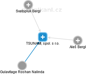 TSUNAMI, spol. s r.o. - náhled vizuálního zobrazení vztahů obchodního rejstříku