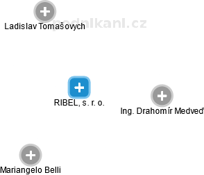 RIBELL, s. r. o. - náhled vizuálního zobrazení vztahů obchodního rejstříku