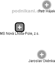 MS Nová Lhota-Pole, z.s. - náhled vizuálního zobrazení vztahů obchodního rejstříku