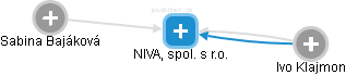 NIVA, spol. s r.o. - náhled vizuálního zobrazení vztahů obchodního rejstříku