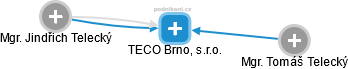 TECO Brno, s.r.o. - náhled vizuálního zobrazení vztahů obchodního rejstříku