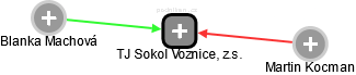 TJ Sokol Voznice, z.s. - náhled vizuálního zobrazení vztahů obchodního rejstříku