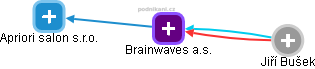 Brainwaves a.s. - náhled vizuálního zobrazení vztahů obchodního rejstříku