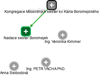 Nadace sester Boromejek - náhled vizuálního zobrazení vztahů obchodního rejstříku