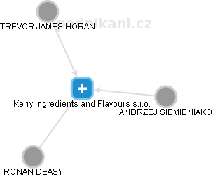 Kerry Ingredients and Flavours s.r.o. - náhled vizuálního zobrazení vztahů obchodního rejstříku