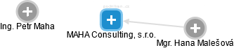 MAHA Consulting, s.r.o. - náhled vizuálního zobrazení vztahů obchodního rejstříku