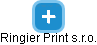 Ringier Print s.r.o. - náhled vizuálního zobrazení vztahů obchodního rejstříku