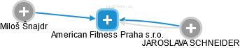 American Fitness Praha s.r.o. - náhled vizuálního zobrazení vztahů obchodního rejstříku