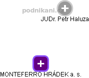 MONTEFERRO HRÁDEK a. s. - náhled vizuálního zobrazení vztahů obchodního rejstříku