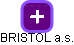 BRISTOL a.s. - náhled vizuálního zobrazení vztahů obchodního rejstříku