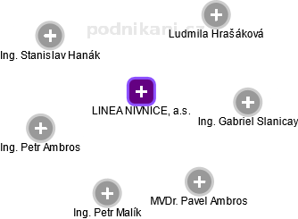 LINEA NIVNICE, a.s. - náhled vizuálního zobrazení vztahů obchodního rejstříku