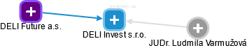 DELI Invest s.r.o. - náhled vizuálního zobrazení vztahů obchodního rejstříku