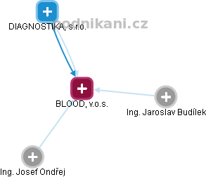 BLOOD, v.o.s. - náhled vizuálního zobrazení vztahů obchodního rejstříku