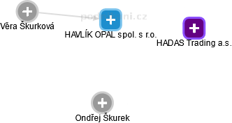 HAVLÍK OPAL spol. s r.o. - náhled vizuálního zobrazení vztahů obchodního rejstříku