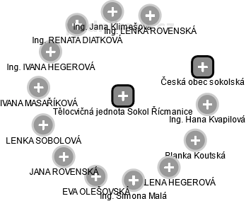 Tělocvičná jednota Sokol Řícmanice - náhled vizuálního zobrazení vztahů obchodního rejstříku