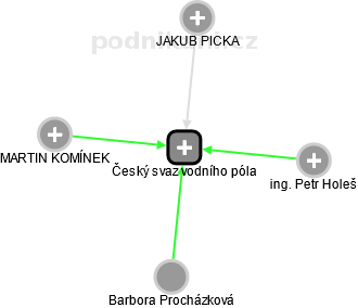 Český svaz vodního póla - náhled vizuálního zobrazení vztahů obchodního rejstříku