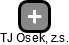 TJ Osek, z.s. - náhled vizuálního zobrazení vztahů obchodního rejstříku