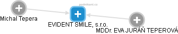EVIDENT SMILE, s.r.o. - náhled vizuálního zobrazení vztahů obchodního rejstříku