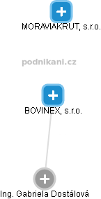 BOVINEX, s.r.o. - náhled vizuálního zobrazení vztahů obchodního rejstříku