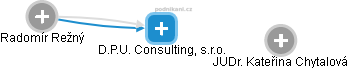 D.P.U. Consulting, s.r.o. - náhled vizuálního zobrazení vztahů obchodního rejstříku
