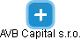 AVB Capital s.r.o. - náhled vizuálního zobrazení vztahů obchodního rejstříku