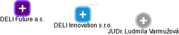 DELI Innovation s.r.o. - náhled vizuálního zobrazení vztahů obchodního rejstříku