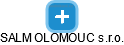 SALM OLOMOUC s.r.o. - náhled vizuálního zobrazení vztahů obchodního rejstříku